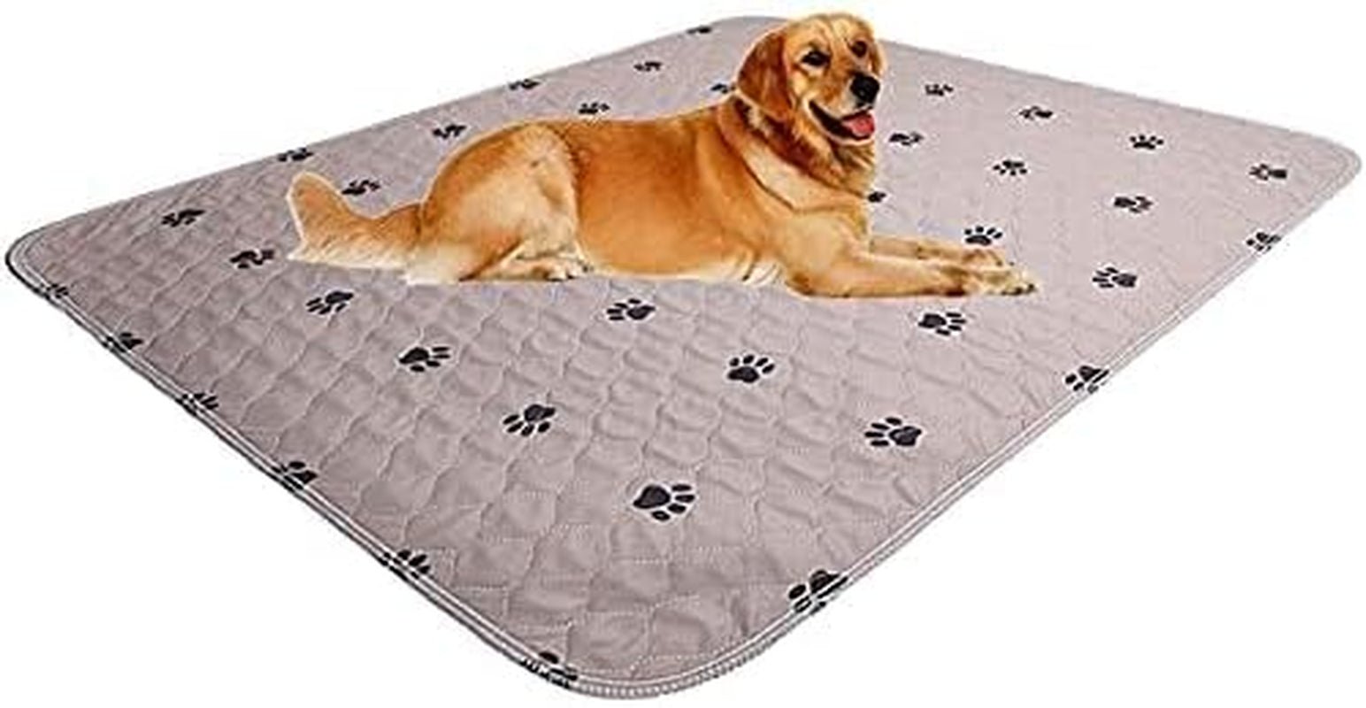 Premium Washable Dog Pee Pads with Puppy Grooming Gloves - Reusable, Waterproof Training Pads for Large Dogs and Whelping Needs - thewrightstore