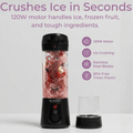 Pro+ Ice Crushing Portable Blender (17oz) - thewrightstore