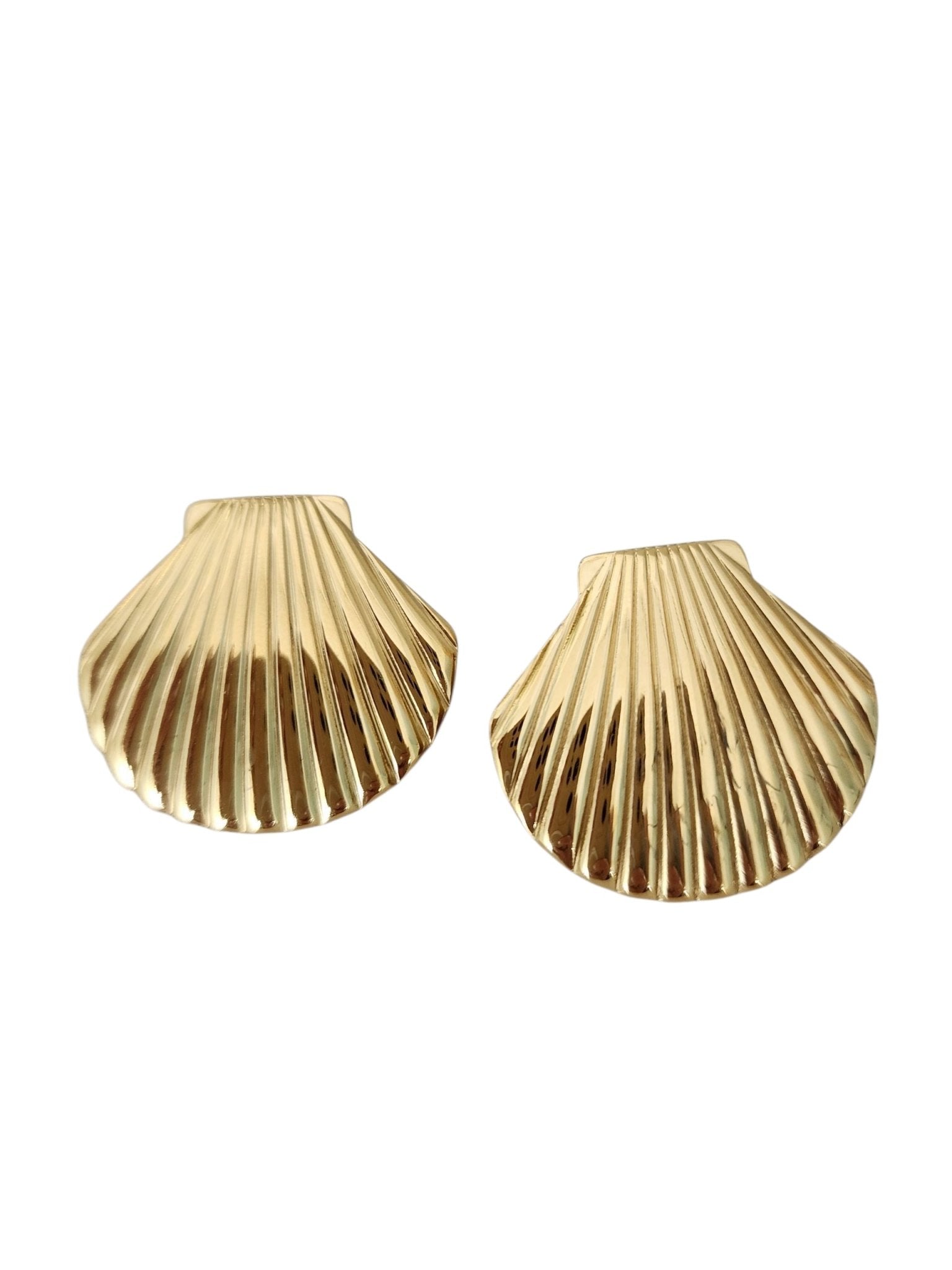 SEA SHELL SHINE - thewrightstore