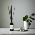 Shangri - La - Reed Diffuser - thewrightstore