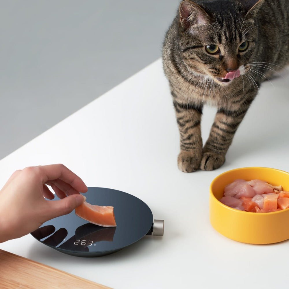 Smart Kitchen Scale - thewrightstore