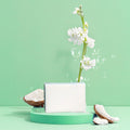 Solid Coconut Soap Dish Bar - thewrightstore