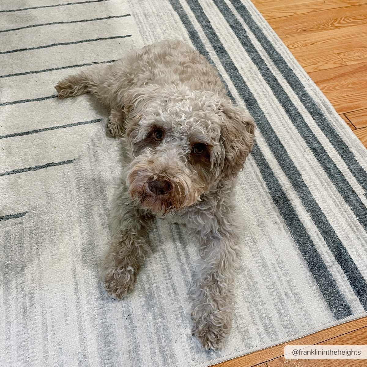 Thad Medium Gray Washable Area Rug - thewrightstore