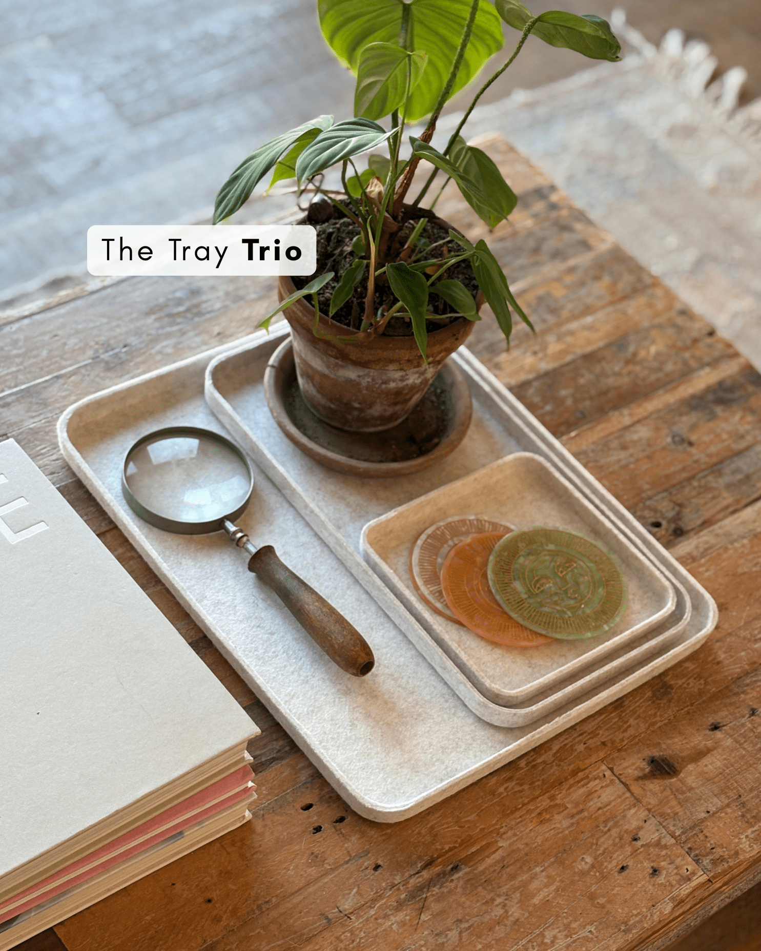 The Tray Duo 2.0 - thewrightstore